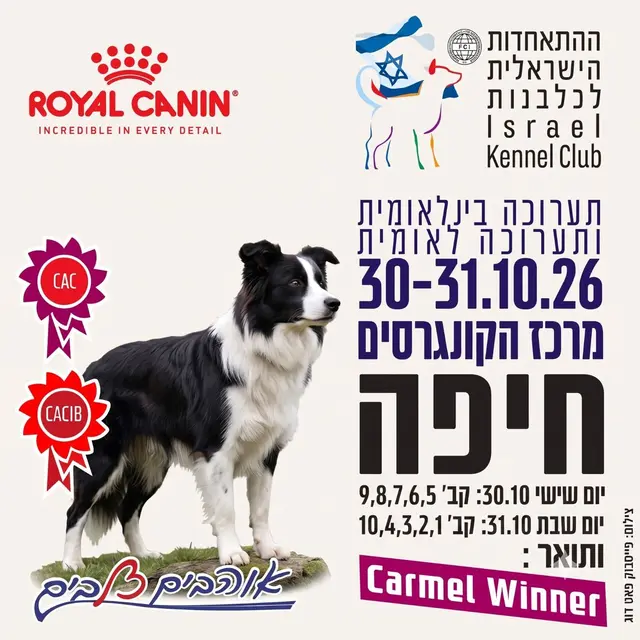 פוסטר של התערוכה הבינלאומית בחיפה 2026