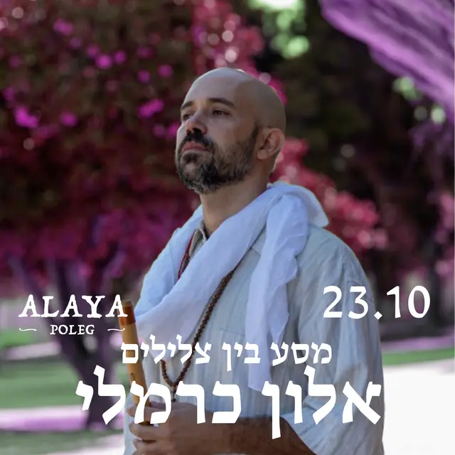 פוסטר של מסע צלילים עם אלון כרמלי
